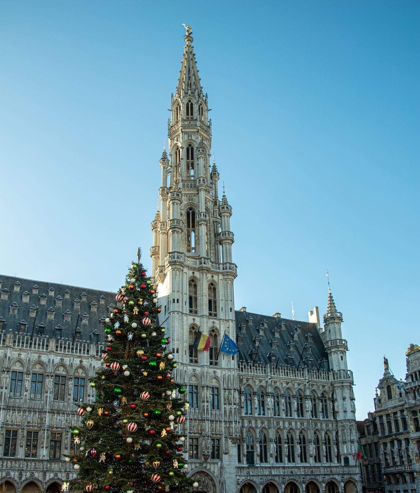 Grote Markt in Brussel met een feestelijke boom
